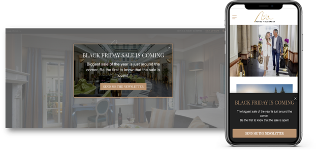 Pre-Black Friday campaign to capture email subscriber information